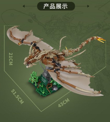 7055b.jpg