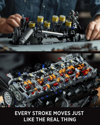 NF10316b.jpg
