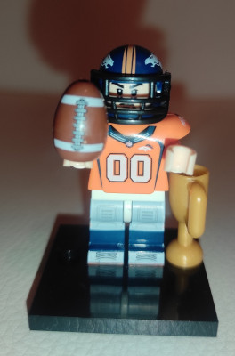 nfl01.jpg